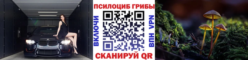 сайты даркнета состав  Снежногорск  Галлюциногенные грибы мухоморы 